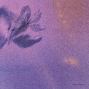 亚洲一区二区在线播放
